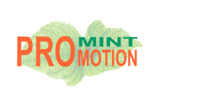 At Mint Promotion, we specialise in crafting top-notch affiliate websites designed to maximise your online potential. With our expert SEO strategies, we ensure your business ranks higher, attracts more customers, and converts clicks into sales.