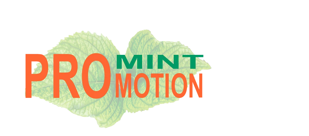 At Mint Promotion, we specialise in crafting top-notch affiliate websites designed to maximise your online potential. With our expert SEO strategies, we ensure your business ranks higher, attracts more customers, and converts clicks into sales.